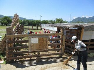 IMG_1181.jpg