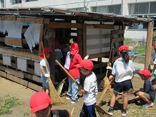IMG_1184.jpg