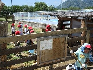 IMG_1185.jpg