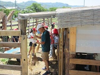IMG_1186.jpg
