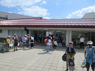 IMG_1239.jpg