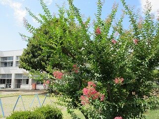 IMG_1250.jpg