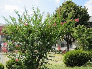IMG_1251.jpg
