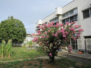 IMG_1261.jpg