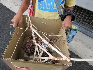 IMG_1263.jpg