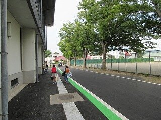 IMG_1264.jpg