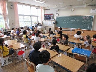 IMG_1271.jpg