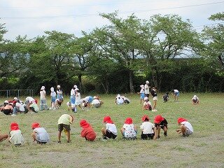 IMG_1285.jpg