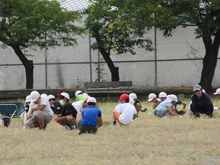 IMG_1287.jpg