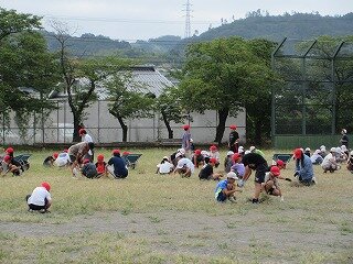 IMG_1288.jpg