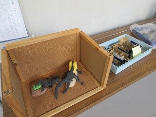 IMG_1308.jpg