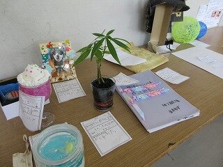 IMG_1312.jpg