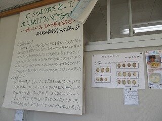 IMG_1321.jpg