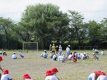 IMG_1323.jpg