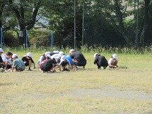 IMG_1327.jpg