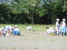 IMG_1328.jpg