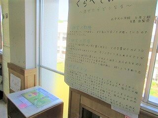 IMG_1343.jpg