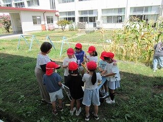 IMG_1358.jpg