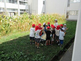 IMG_1359.jpg