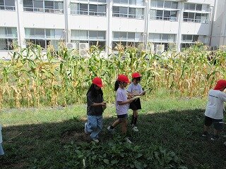IMG_1360.jpg