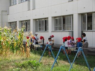 IMG_1362.jpg