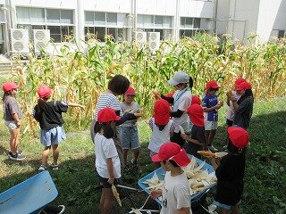 IMG_1365.jpg