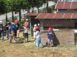 IMG_1374.jpg