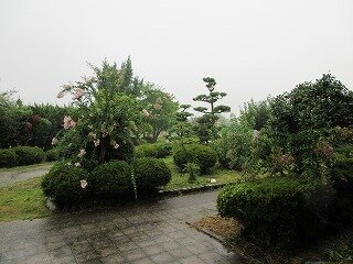 IMG_1393.jpg