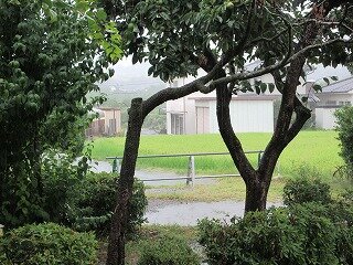 IMG_1394.jpg