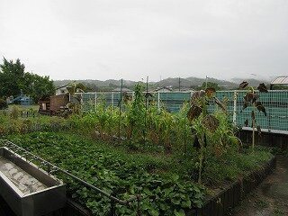 IMG_1395.jpg