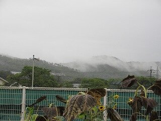 IMG_1397.jpg