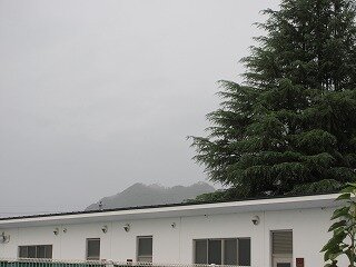 IMG_1398.jpg
