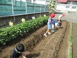 IMG_1438.jpg