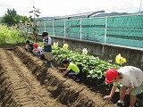 IMG_1439.jpg