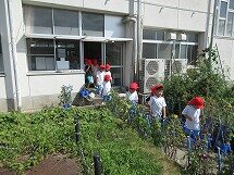 IMG_1462.jpg