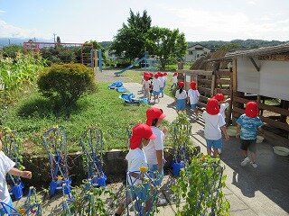 IMG_1464.jpg