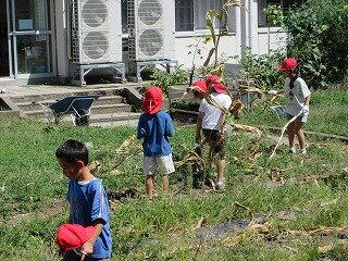 IMG_1495.jpg