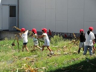 IMG_1496.jpg