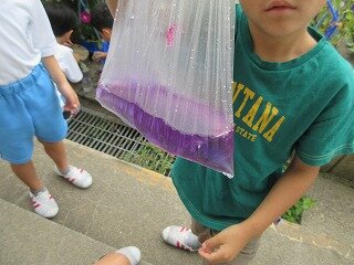 IMG_1520.jpg