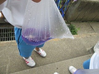 IMG_1521.jpg