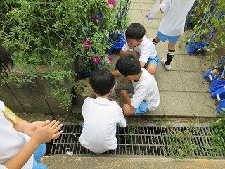 IMG_1523.jpg