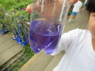 IMG_1524.jpg