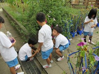 IMG_1525.jpg