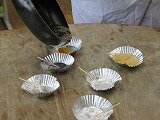 IMG_1552.jpg
