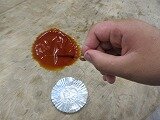 IMG_1557.jpg
