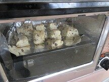IMG_1562.jpg