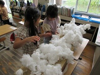 IMG_1586.jpg