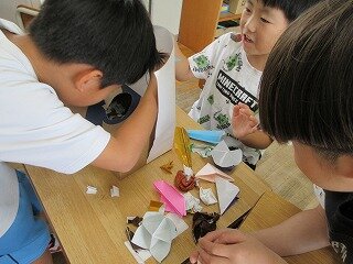 IMG_1589.jpg