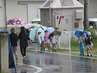 IMG_1600.jpg