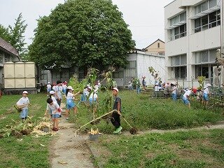 IMG_1667.jpg